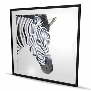 Begin Home Decor C1FM4848UTFZ44 48 x 48 in. Zebra Blue Framed Matted Print Wall Art - Stylish Home Decor Art