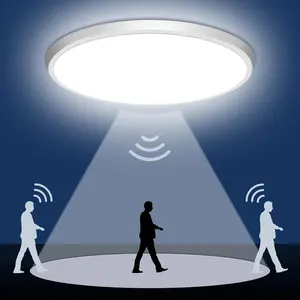 LED Motion Sensor Ceiling Light, 24w LED Staircase Hallway Lamp, Infrared Human Radar Smart Voice Control, 5000k, 2/4 Pieces