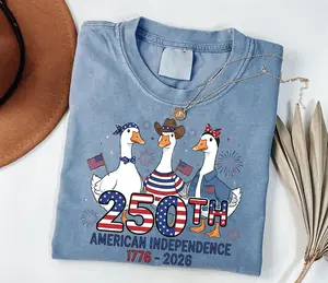 America 250 Years Shirt, Funny Patriotic Tee, Silly Goose Humor Tshirt, Civil War History Top, USA Anniversary Month Outfit, American History Shirt #Birthday #America250 #gift #tshirt #vintage