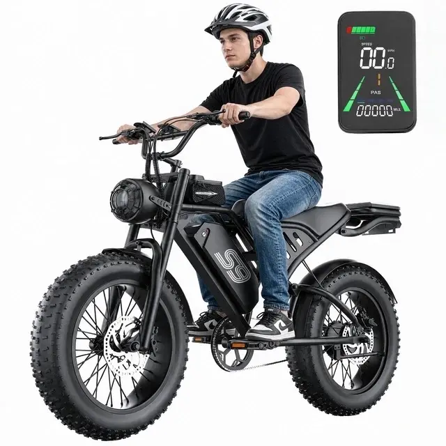ASKGO 20" Fat Tire Electric Bike for Adult 2500W 48V20AH Electric Mountain Ebike