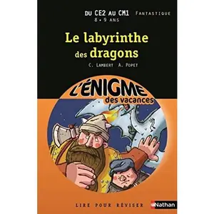USED-L'ENIGME DES VACANCES DU CE2 AU CM1 8/9 ANS LE LABYRINTHE DES DRAGONS by Christophe Lambert (Paperback)