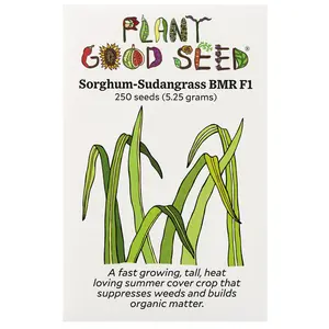 Sorghum Sudangrass Seeds for Planting: Fast Growing Summer Cover Crop, F1 Hybrid Grass, Certified Organic - 250 Seed Packet / Bulk Pack