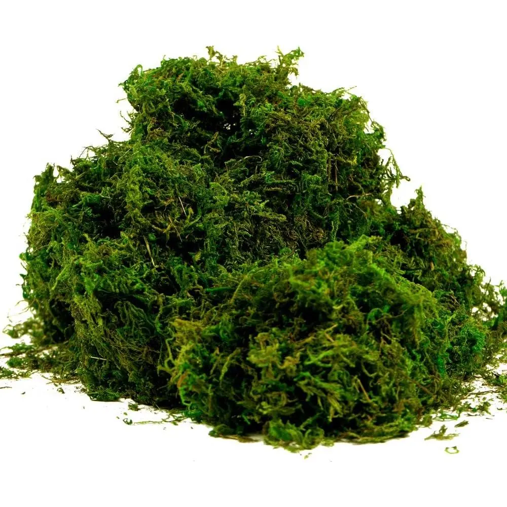 Artificial Moss  Green Grass for Centerpieces Home Kitchen Garden Decor (8OZ, Fresh)