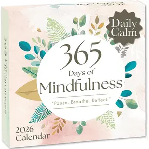 2026 Mindfulness Daily Desktop Calendar | Day To Day  Off Calendar with 365 Positive Affirmation Exercises for a Year of Calm Self Care, Box Calendar  For Women, Christmas Stocking Stuffer  for  or Office