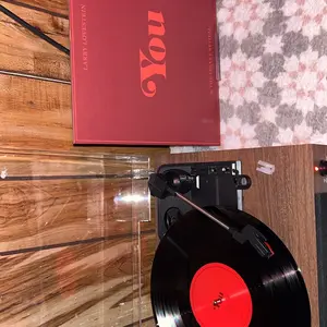 Larry Lovestein & The Velvet Revival - You | Vinyl Record