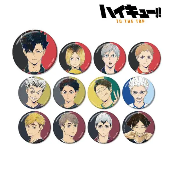 Haikyuu Trading Ani-Art Vol. 6 Can Badge Matte Ver. & Normal Ver. - Price for 1