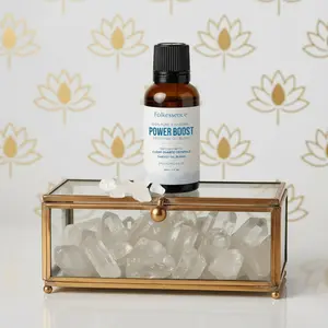 Thieves Oil Essential Oil 100% Pure & Natural 1 Fl. Oz. Oil Blends for Diffuser Aromatherapy with Clear Quartz Crystal (Power Boost)