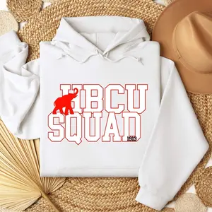 Delta Sigma Theta HBCU SQUAD Hoodie