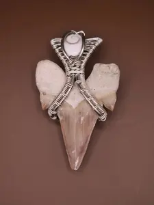Silver Wire Wrapped Shark Tooth with Shiva Eye Necklace Pendant