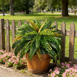 Realistic Large Boston Fern Artificial Plant Outdoor Fake Greenery, Full Leafy Branches, 88 Stems, No Watering Needed, Garden Fence Decor