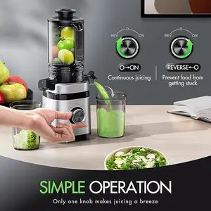 Juicer Machines, Cold Press Juicer with Wide Feed Chute, Slow Masticating Juicers for Whole Vegetables & Fruits, High Juice Yield, Easy to Clean, Large Auger, Light Silver
