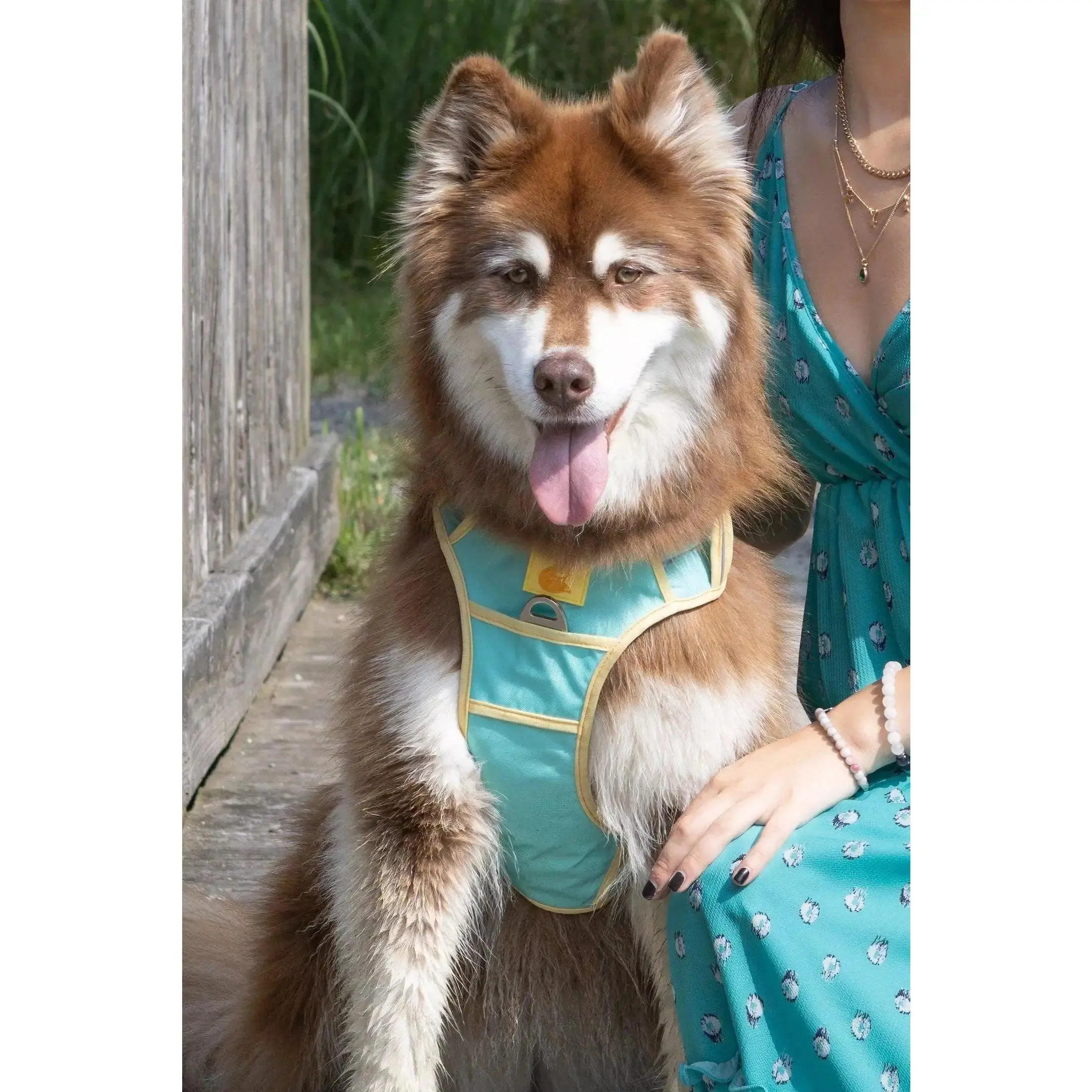 Island Vibes Ultimate Harness