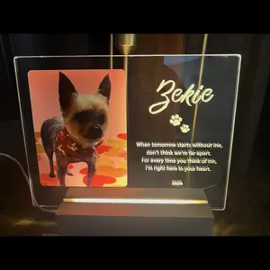 Custom Pet Memorial Gift - in Memory of Loss of Dog Sympathy Gift Night Light, Personalized LED Acrylic Plaque, Pet Loss Sympathy Gift, Dog Cat Memorial Gift, Custom Led Night Lights Glass Plaque with Pet Photo, Gifts for Pet Lovers,
