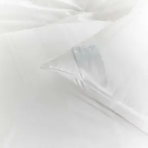 Lucerne Down Pillow