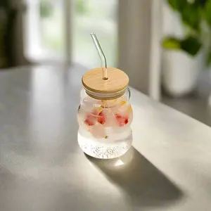 Borosilicate Glass Cups with Lid & Straw