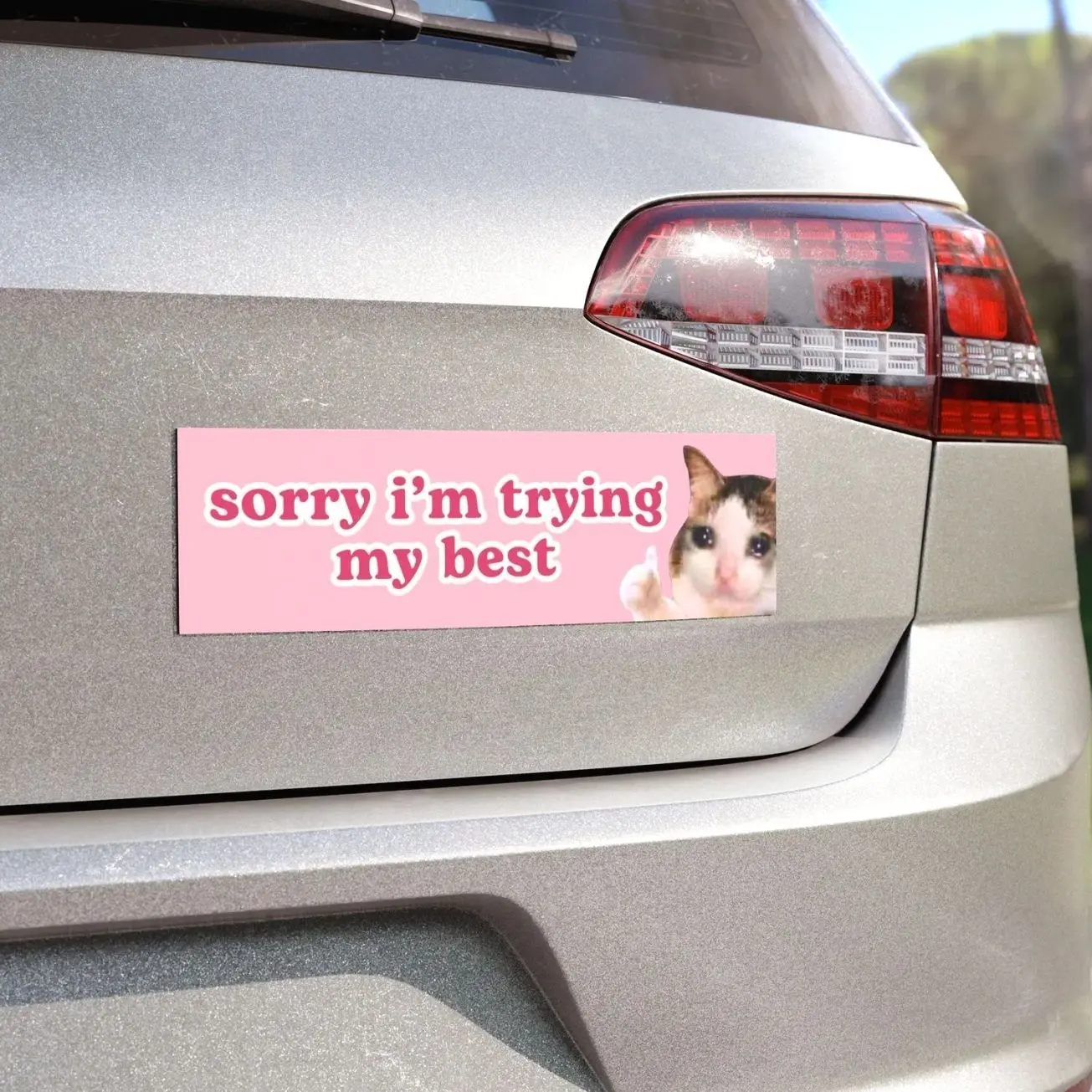 Funny Cat Meme Car Magnet | Sorry I'm Trying My Best | Cute Pink Magnetic Car Decal