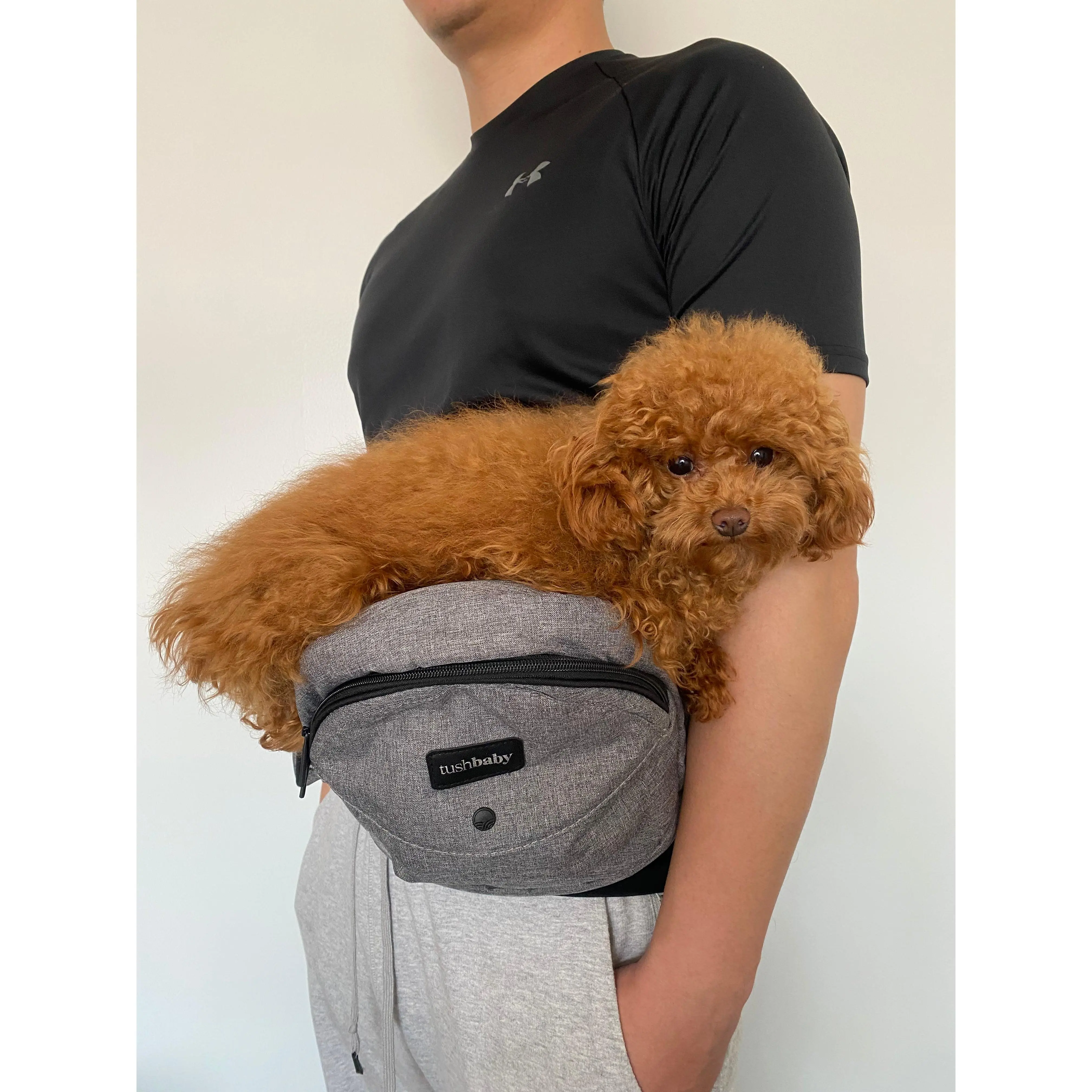 2-in-1 Combo Carrier 2-in-1 Combo Carrier