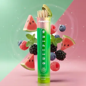QuitPix Extra Thick Premium Flavored Toothpicks with N-A-C & L-Theanine, Kosher, Vegan MADE IN THE USA (Watermelon Mint 20count pack of 1)