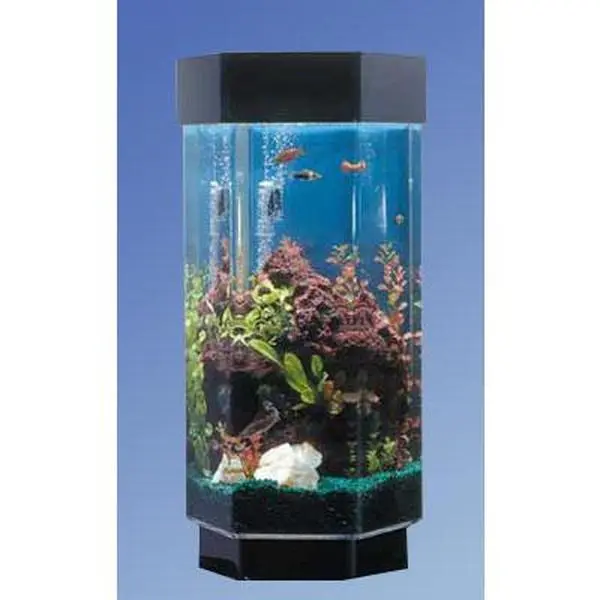 Midwest Tropical TT-1500 15.5in Hexagon Aquascape Aquarium - 15.5x14x31in Acrylic Enclosure, Lighting, Extension Cord, Compact, Space Illusion, Multiple Views, Illusion of Greater Space for Home Use
