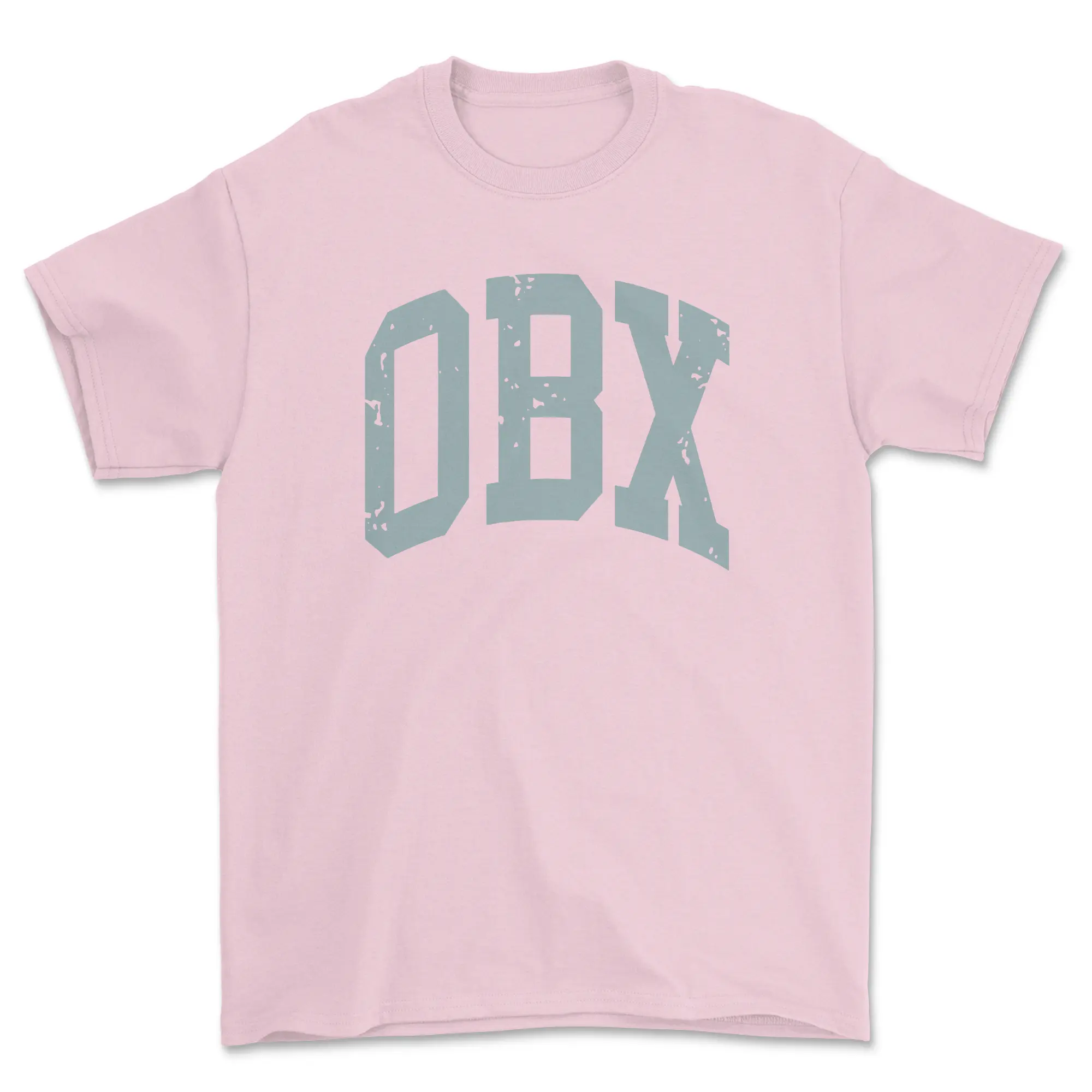 Vintage-Inspired OBX Crewneck T-Shirt, Distressed Beachy Aesthetic for Trendy Outer Banks Style