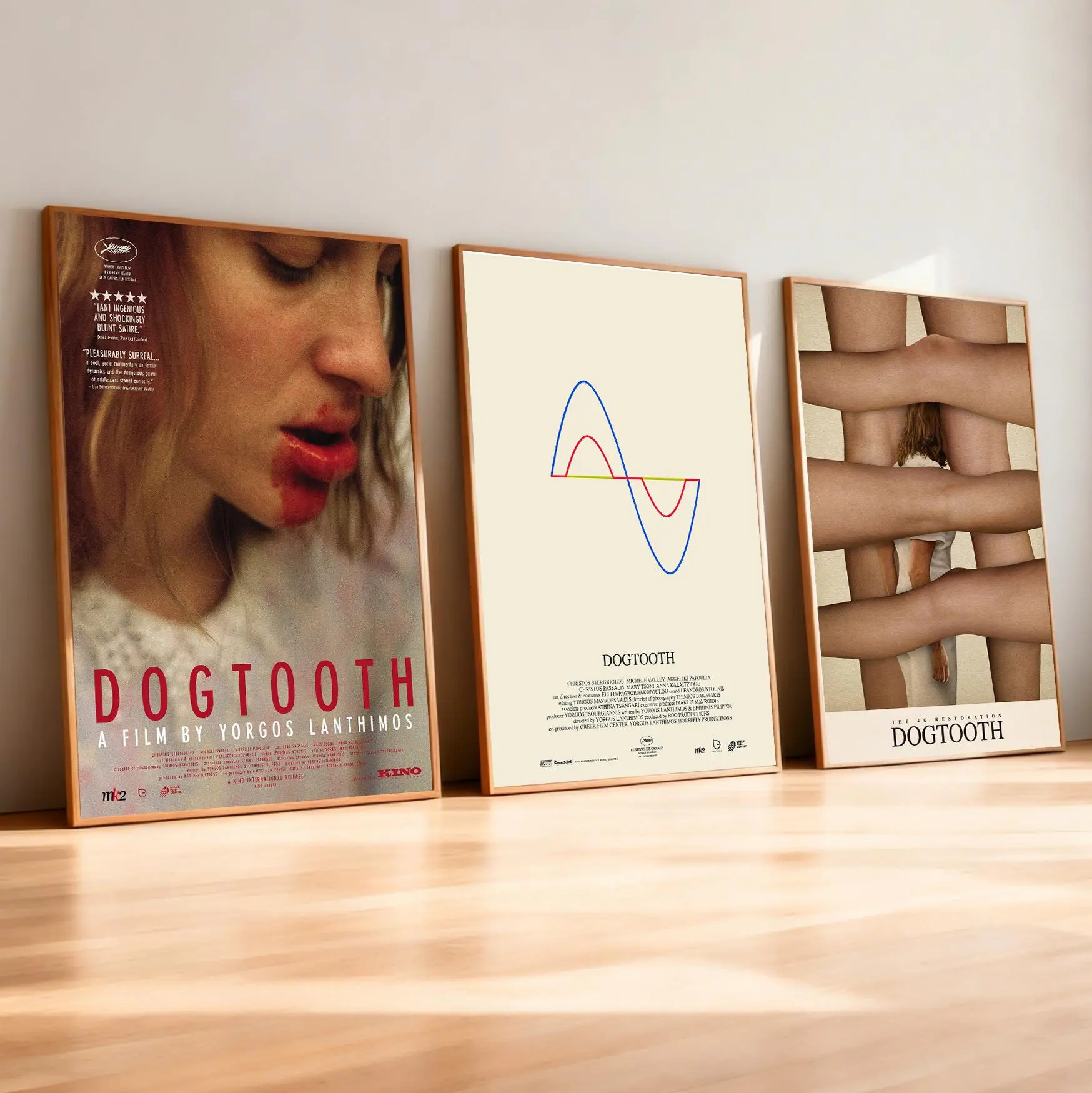 Dogtooth Movie Poster | Movie Fan Gifts | Wall Decorations, Poster For Gift Unframed
