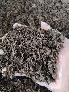 Biter leaf| 8.8 oz| 250g