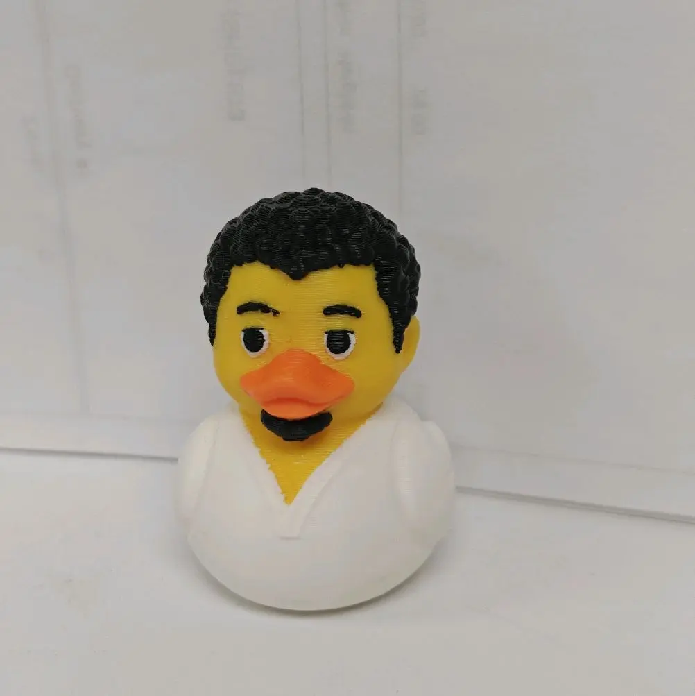 Jibaro Puerto Rican 3D Printed PLA Plastic Fantasy Duck Keychain - AI Created DtmF Novelty Character Pendant, Collectible Gift Fashion Accessory, Unisex, Duck Form, Duck Shape