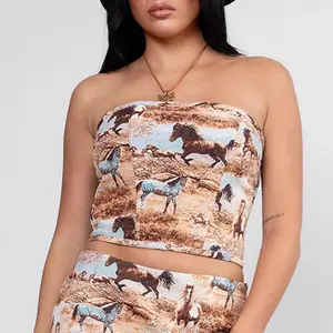 Meet Me At The Rodeo Corset