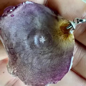 Real Snowflake Preserved