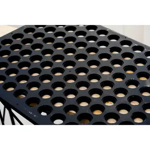 Golf Ball Printing Jig LogoJET UVx40R PLUS-SE Flatbed Printer (108 Golf Balls) with PDF Template