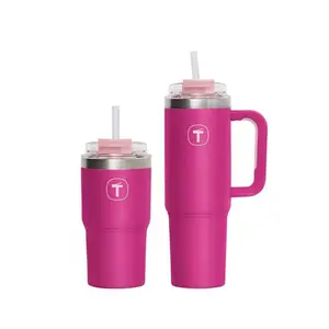 Insulated Tumbler - Pink Drinkware with Handle, Metallic Finish, Ideal for Cold Beverages - Flasks
