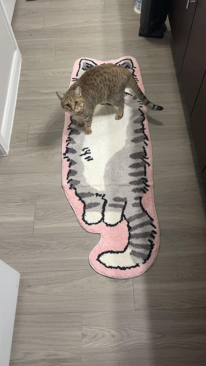 Item: Grey, 50cm*150cm