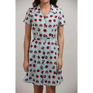 Ladybug Print Collared Neck Blue Dress