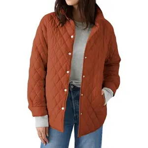 Women’s lightweight quilted jacket with stand collar, single-breasted long sleeves, warm oversized design with pockets — casual women’s outerwear (check)