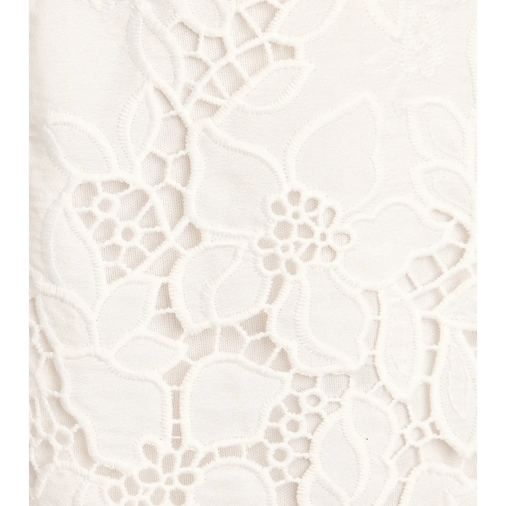 Charmed And Booked Lace Skater Dress - TikTok Shop
