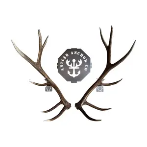 Elk Shed Antler Hanger Set