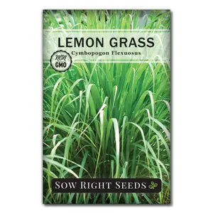 Lemon Grass Seeds