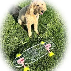 GHOST BOARDS 24" Penny Ghost Boards - Easy to Ride for All Ages, Compact and Lightweight