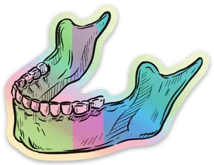 Anatomical Jaw Sticker – Rainbow Gradient Mandible Decal for Dental Pros & Students