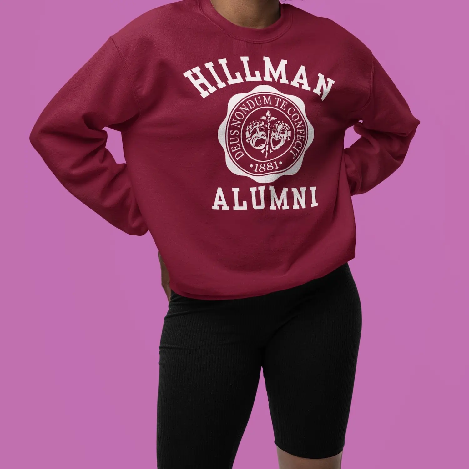 Men's Cotton Round Neck Long-Sleeve Fitted Pullover Sweatshirt - Menswear, Hillman College Print, 90s A Different World Sitcom Inspired, Black Culture Hip Hop Casual Top