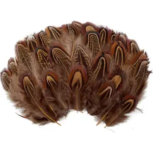 100pcs Brown Pheasant Feathers 2-3 Inches Fluffy Spotted Plumage Feather for Dream Catcher Crafts Sewing Clothing Decoration