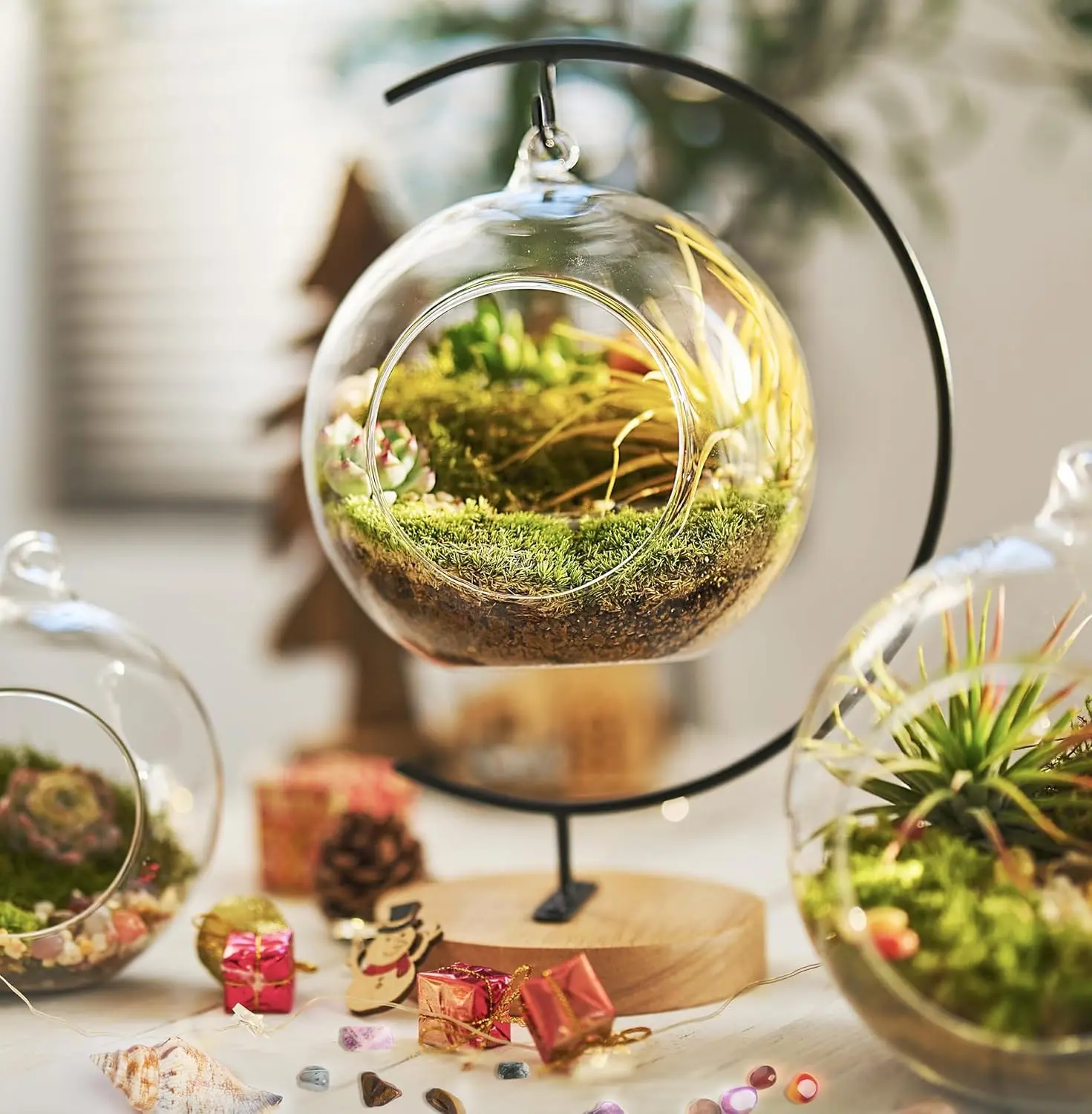 DIY Terrarium Kit with Live Moss, 15-Piece Glass Globe Set | Complete DIY Experience, Beginner Friendly, Wooden Display Stand, Gift-Ready Set, Indoor Nature Decor, Easy Assembly