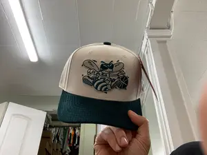 Men fall cord pro hornets snapback