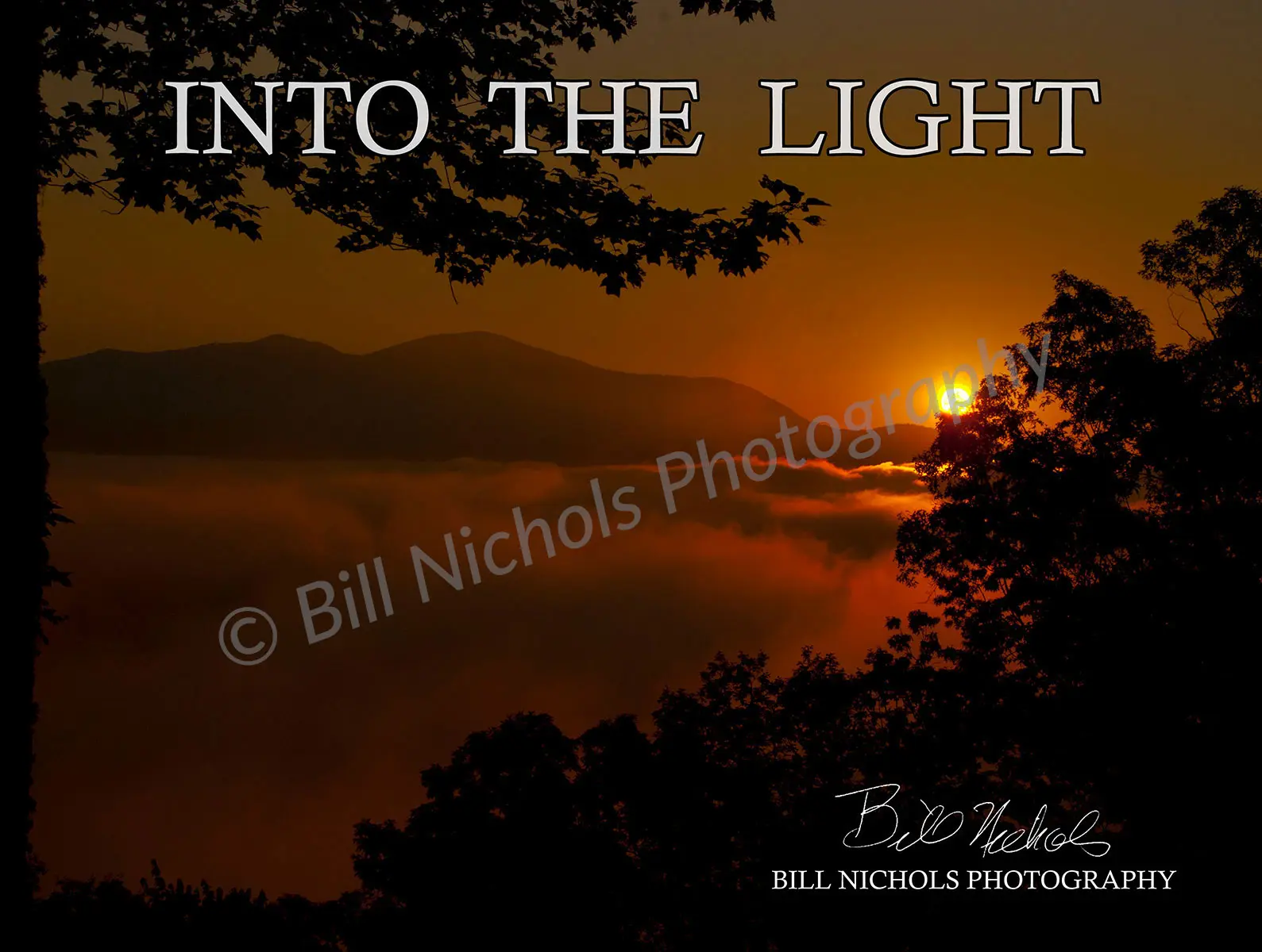 Into The Light:   The Photography of Bill Nichols
