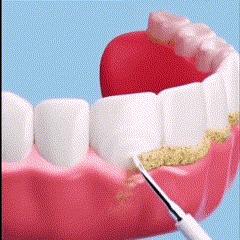 Multi-function & Multi-Speed Electric Toothbrush