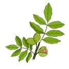 Revive Thermal Hair Protector Spray – UV Hair Protection Spray to Restore Vitality – Paraben Free Heat Protectant Hairspray for Hair Dryer – UV Protectant Spray for Natural & Colored Hair