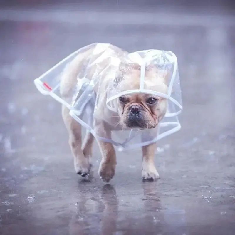1pc Transparent Hooded Pet Dog Plastic Raincoat Dog Clothes Poncho For Small Dogs Little Puppy Pet Outdoor Accessories