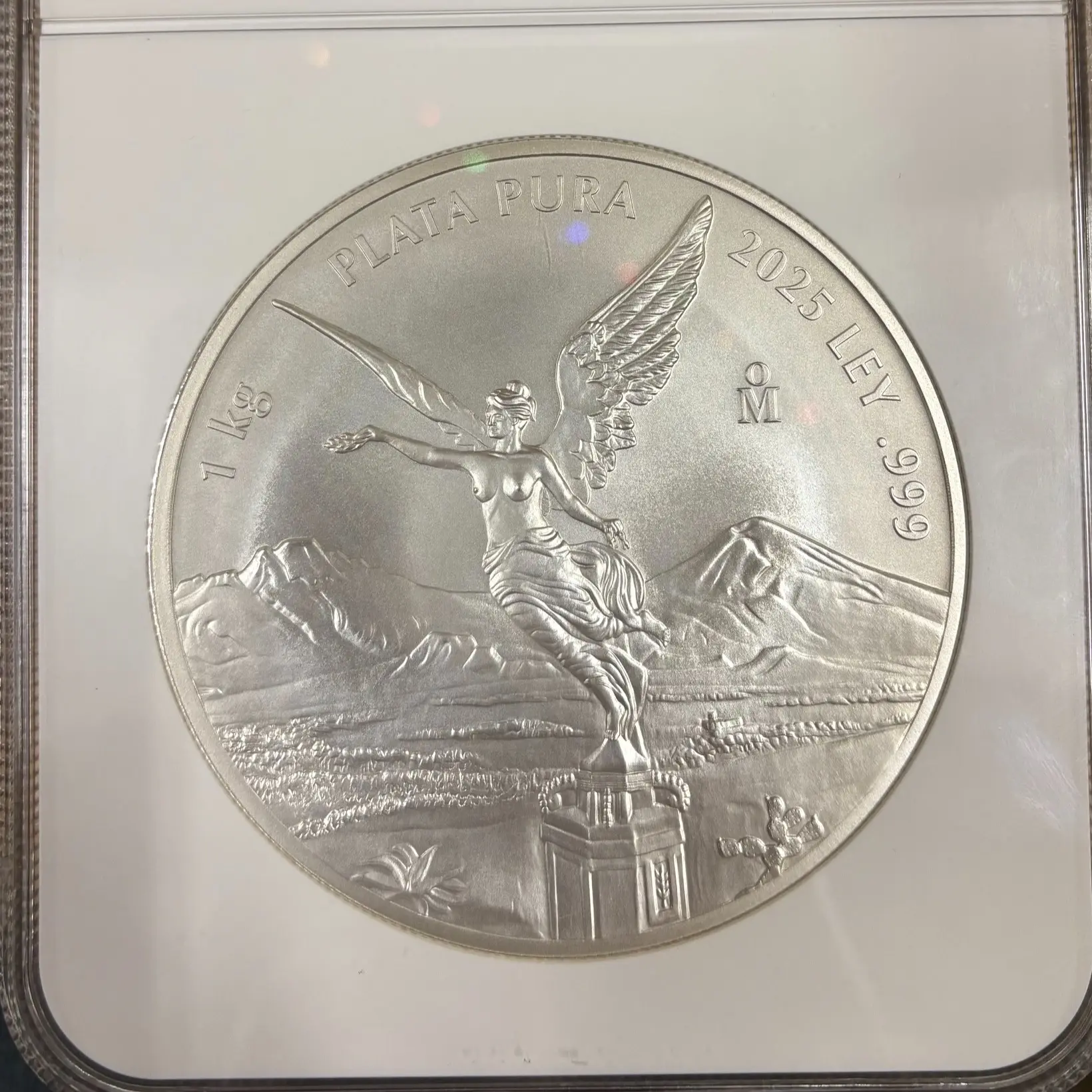 2025 Mexican 1 Kilo Silver