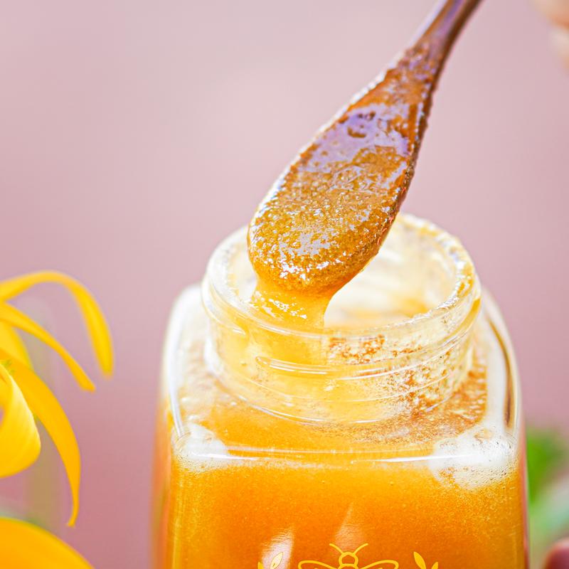 Qinling Forest Wild Raw Honey 100% Organic 500g 17.6 oz per Jar Manuka Tallow Maple Syrup Vegan Maple Syrup