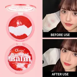 Matte Soft Jelly Texture Oil Control Powder Balm, Long-Lasting Foundation, Waterproof & Pore Minimizing, Suitable All Skin Types, Makeup Setting